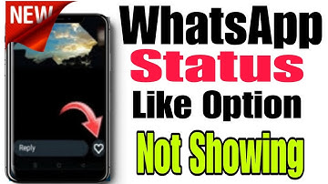 WhatsApp Status Like Option New Update | How to Fix WhatsApp Status Like Button Option Not Showing
