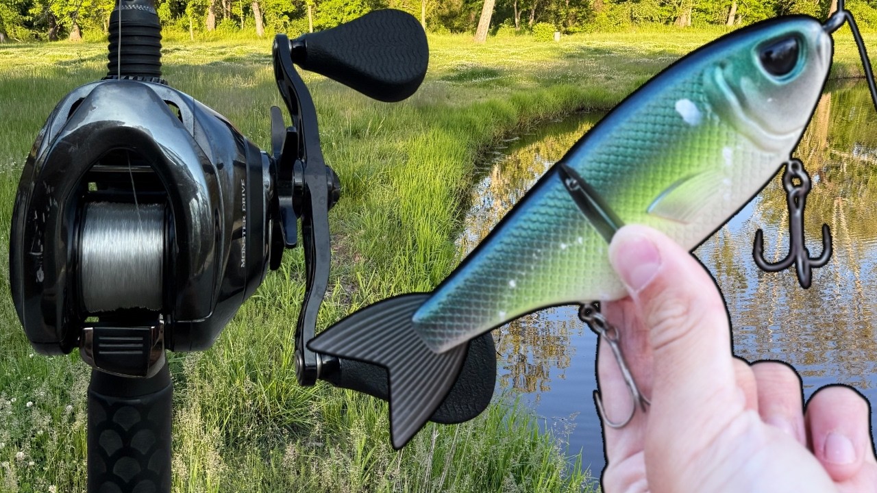 Fishing Swimbaits for Big Hungry Post Spawn Bass!