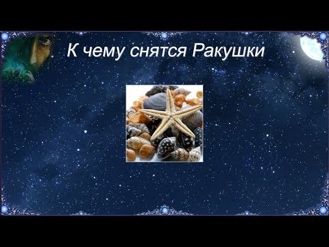 К чему снятся Ракушки (Сонник)