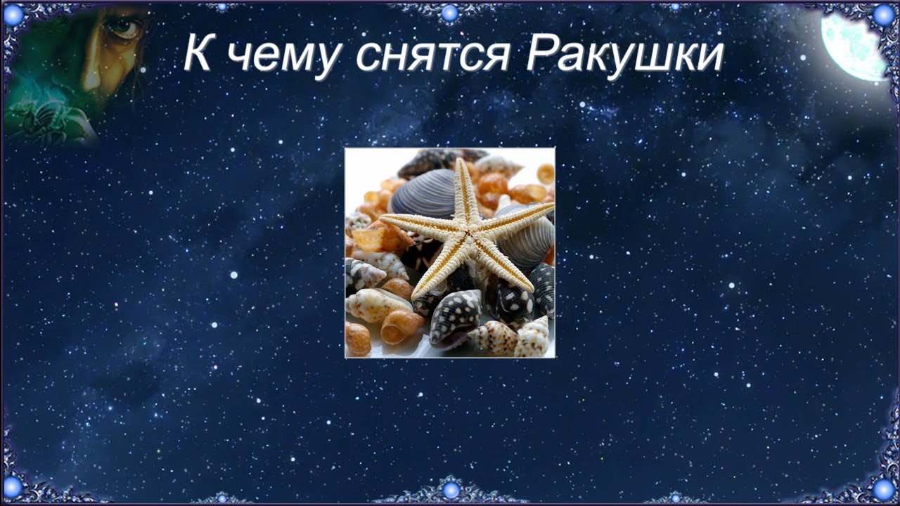 К чему снятся Ракушки (Сонник)