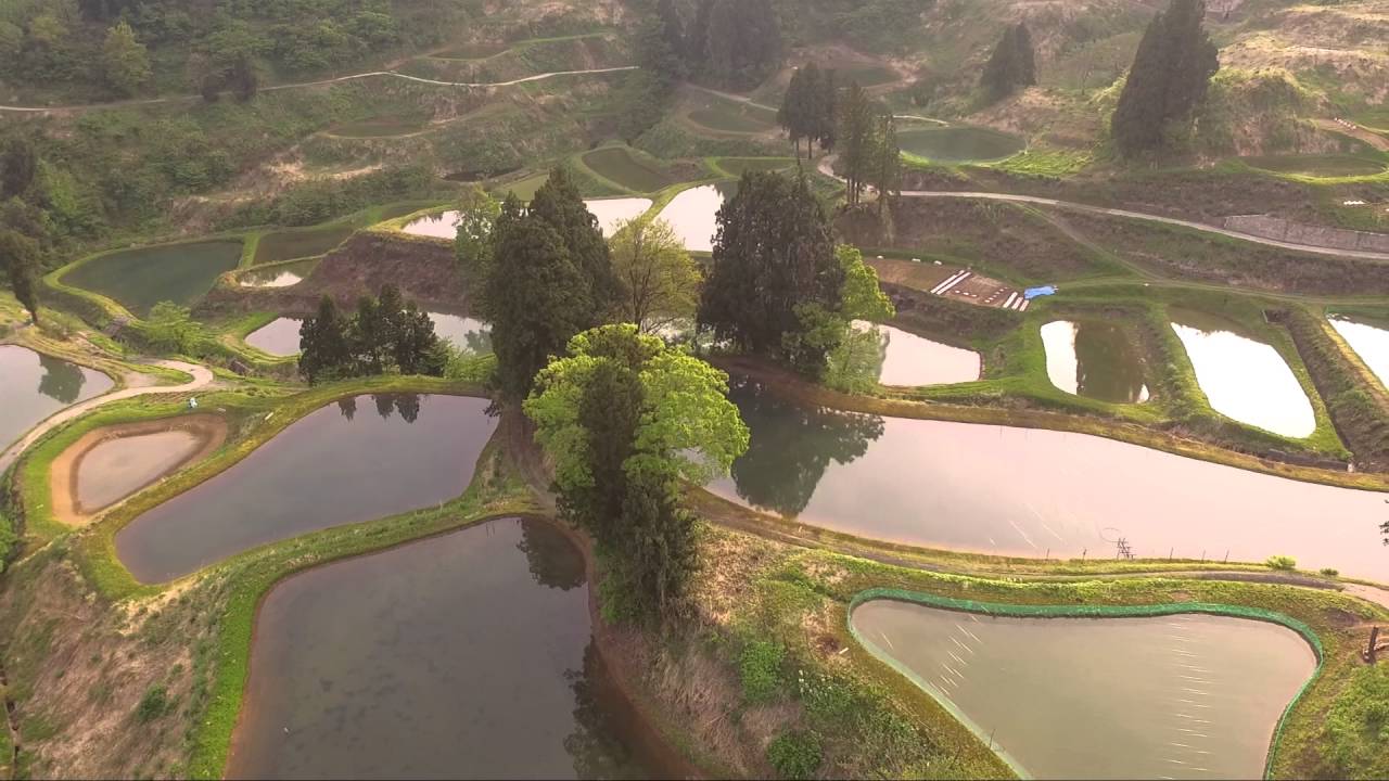 Late afternoon flight over Mushigame mudponds