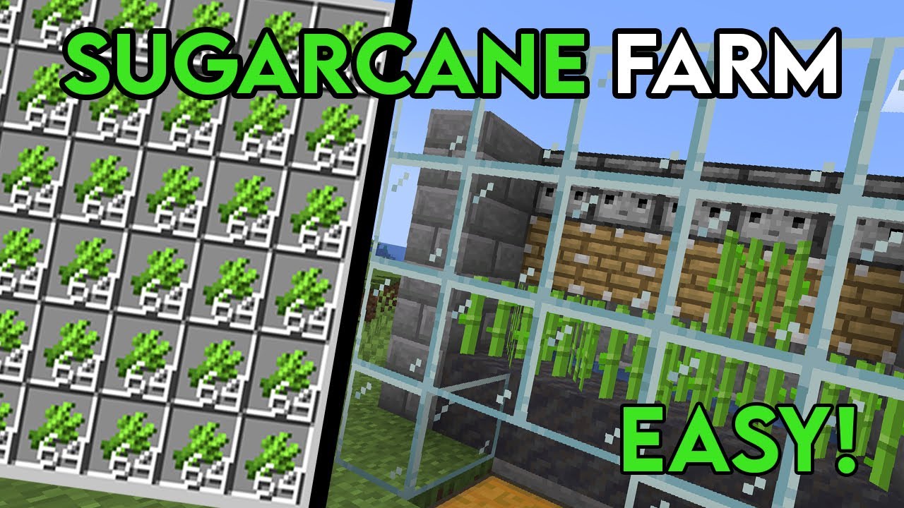 Sugar Cane Farm Java INSANE MINECRAFT SUGARCANE FARM TUTORIAL 1.21 ! (Java & Bedrock) - YouTube