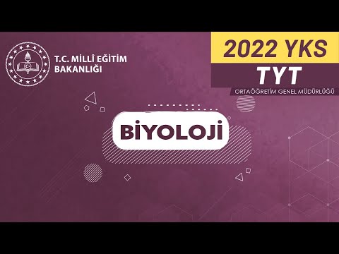 2022 Biyoloji (TYT) YKS Kampı Soru Çözüm-2 (Enzimler, Vitaminler, Hormonlar)