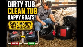 “Dirty Protein Tub? Here’s How I Save Feed & Money!” #kiko #goat #farmlife #savingmoney