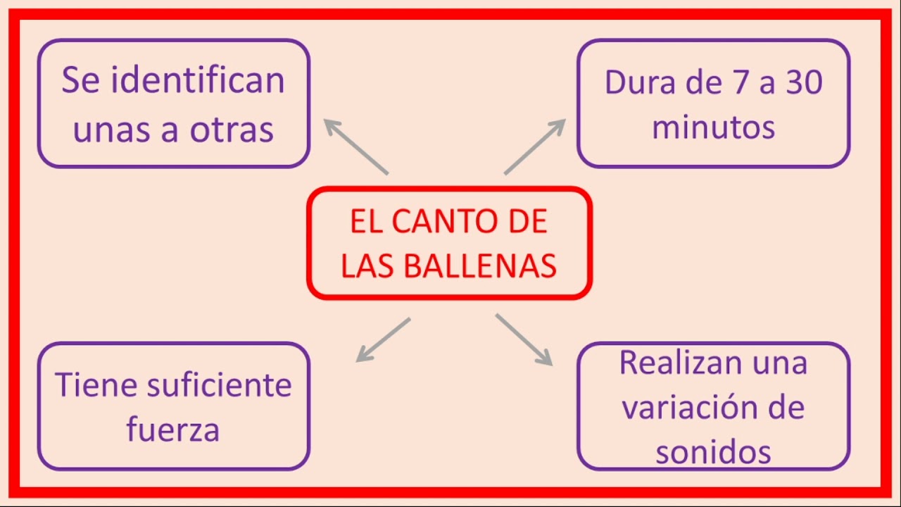 ELABORAMOS EL MAPA SEMÁNTICO 5TO