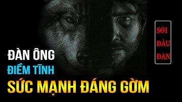 9 Cách Rèn Luyện TÂM THÁI ĐIỀM TĨNH Người Đàn Ông | Lê Trọng Tấn