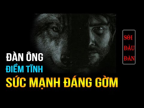 Video 9 Cách Rèn Luyện TÂM THÁI ĐIỀM TĨNH Người Đàn Ông | Lê... - YouTube