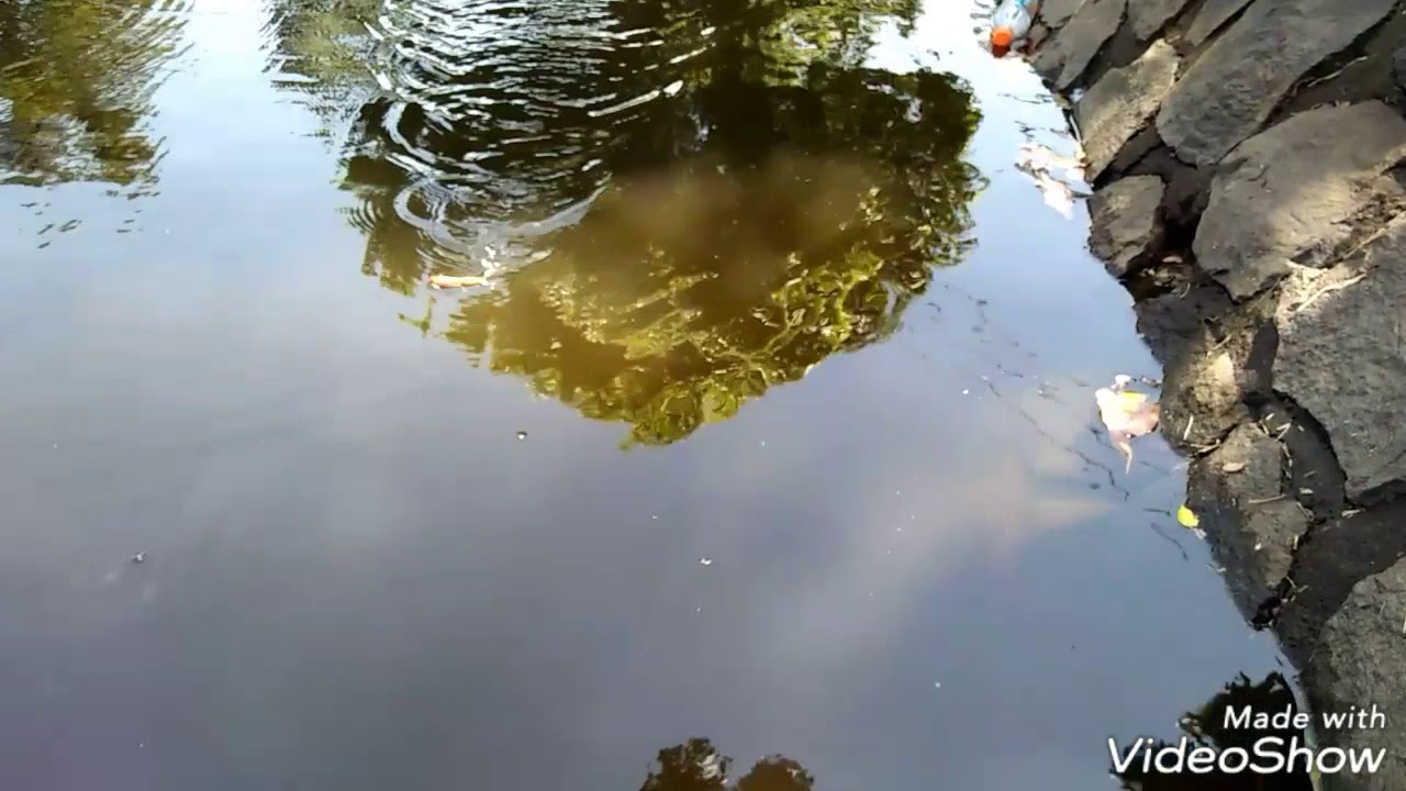 My handmade Ultralight lure action!