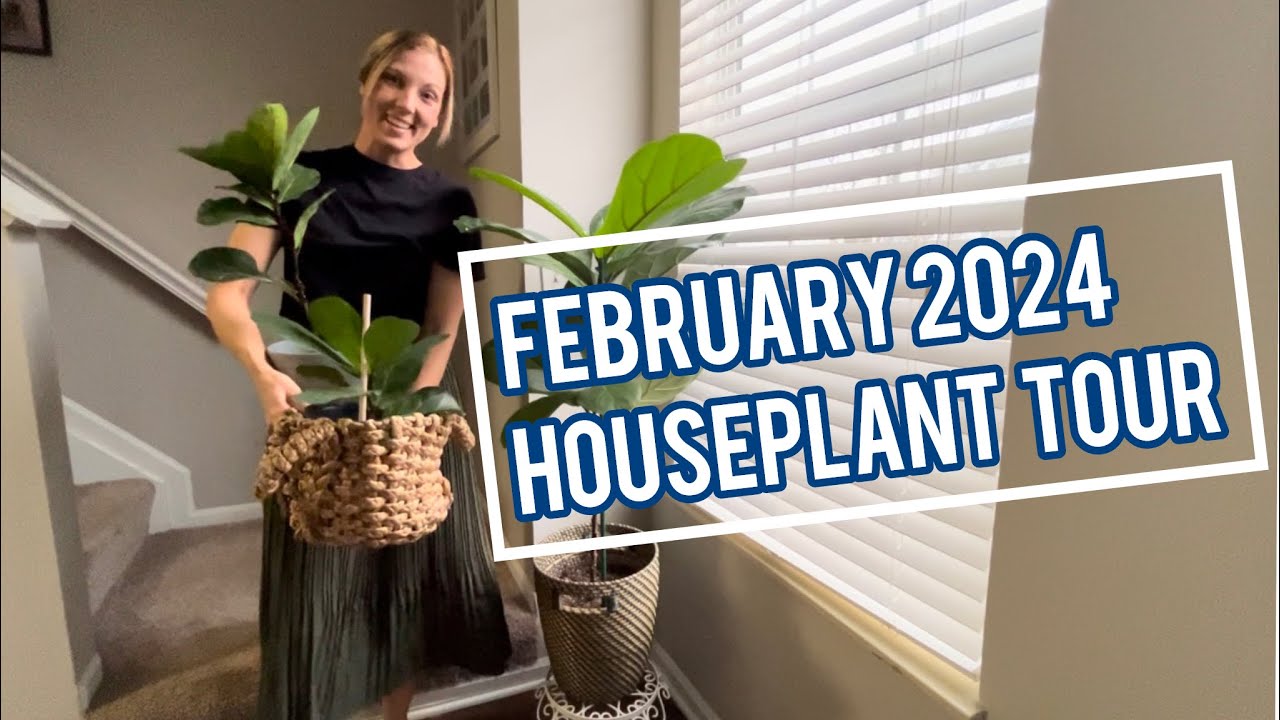 February 2024 Houseplant Tour - YouTube