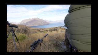Himalayan Tahr hunt New Zealand.  Day 2