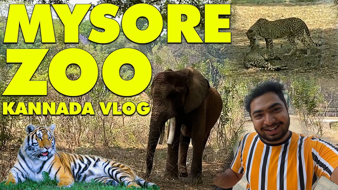 essay on mysore zoo in kannada language