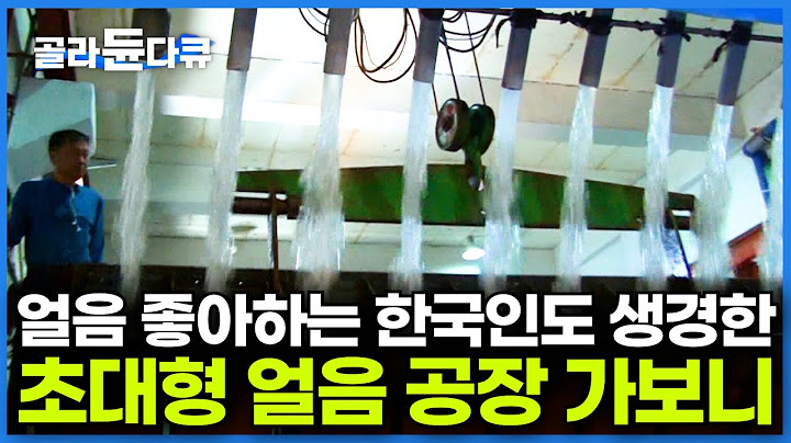 🧊 얼음 없이 못 사는 한국인들 🥶 성수기만 되면 얼음 45톤 만드는 초대형 얼음 공장 가보니｜얼리는 거 빼고 사람이 다하는 얼음 공장｜극한직업｜#골라듄다큐