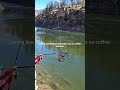 rainbow trout fishing/ bottom fishing