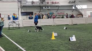 Rally obedience Nordic championship  2022 Vimma first round