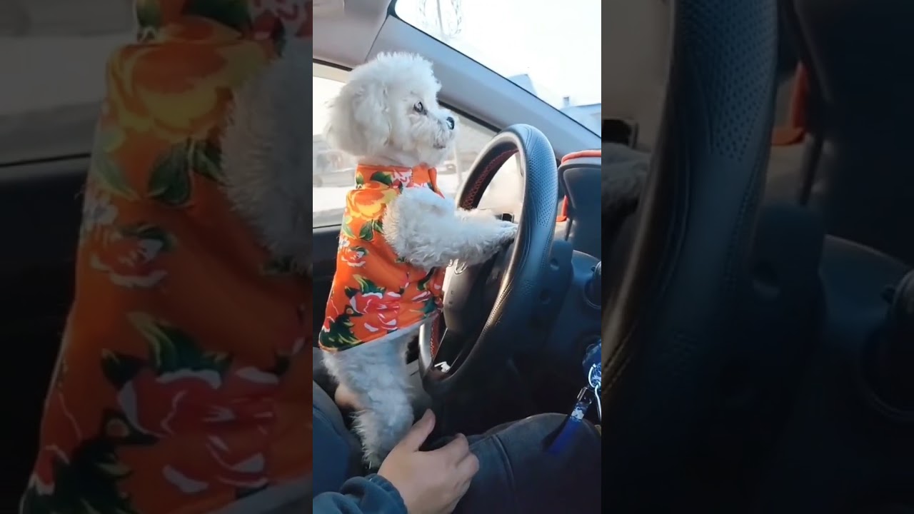 mặt😂😂😂😂 