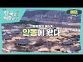 [예고] 이탈리아 시장들의 한국 전통문화의 중심지 안동에 왔다! 그들이 전통문화를 즐기는 법은? l #어서와한국은처음이지 l #MBCevery1 l EP.341