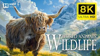 8K High world wildlife 🐾Discover documents about the magic of diverse animals on Earth Piano music