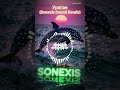 Sonexis-Ураган (Sonexis Sound Remix)