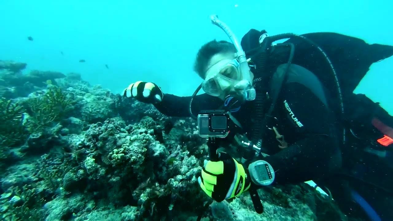 Diving Like Never Before — Shot with a Seascooter + Camera Rig!
