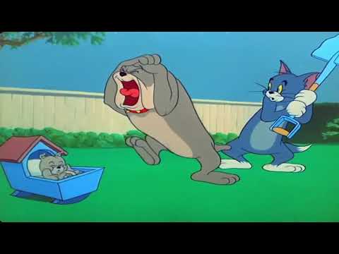 Tom and Jerry ♥ Episode 82 ♥ Hic cup Pup (1954) Part 1 Cartoon HD