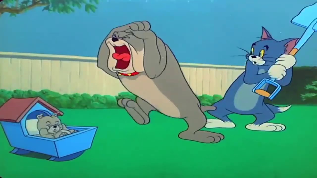 Tom and Jerry ♥ Episode 82 ♥ Hic cup Pup (1954) Part 1 Cartoon HD YouTube