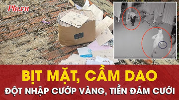 2 kẻ bịt kín mặt, cầm dao đột nhập nhà lúc nửa đêm, cướp vàng, tiền mừng cưới hơn 500 triệu - PLO