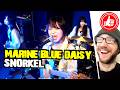 MARINE BLUE DAISY 🤿 SNORKEL ...reaction to a stunning band for the future「 マリンブルーデージー / シュノーケル 」