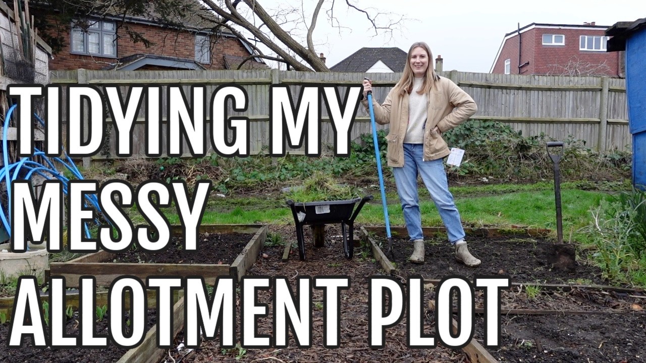 THE ALLOTMENT IS A MESS! / ALLOTMENT GARDENING UK