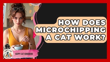 How Does Microchipping A Cat Work? - Happy Cat Handbook