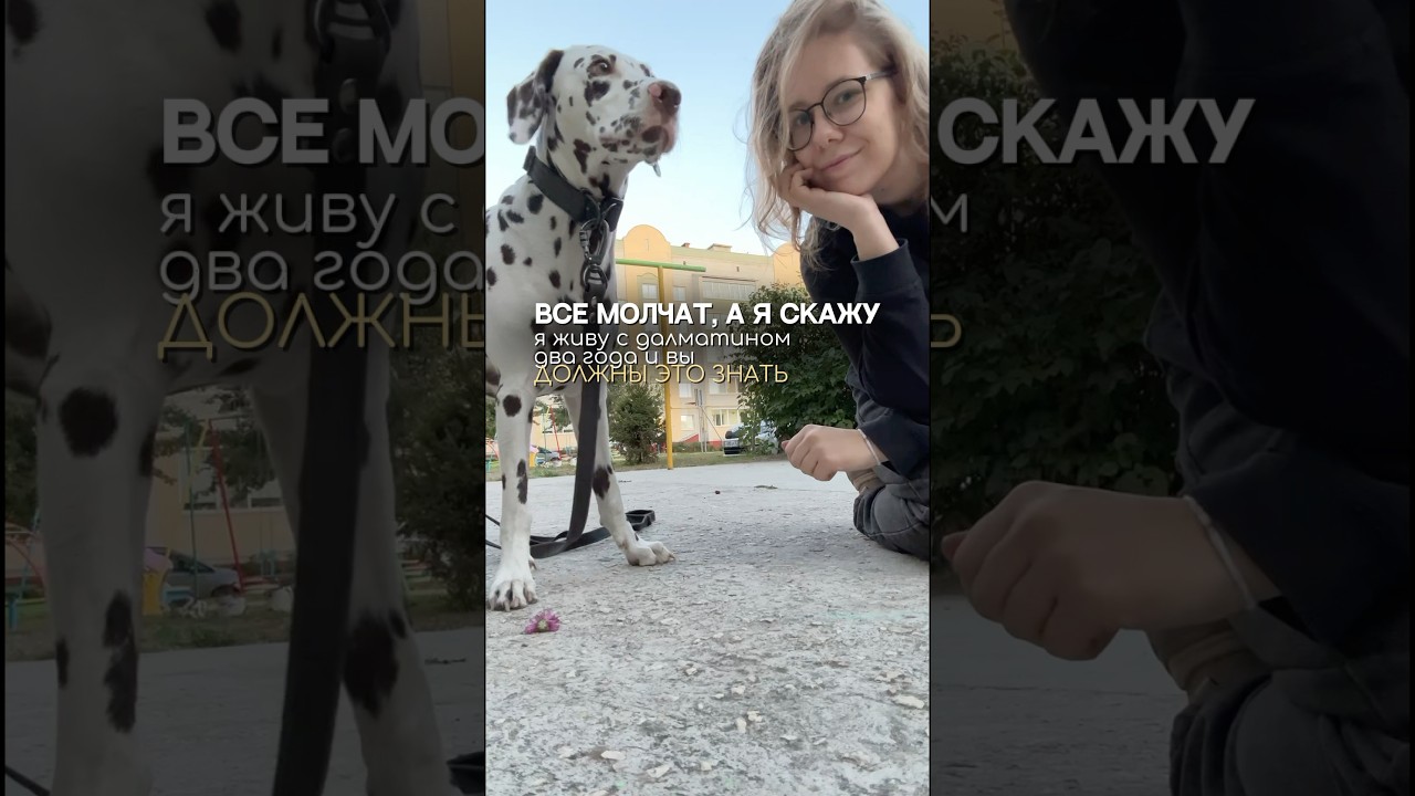 Если тоже подбираете корм своему хвосту - присмотритесь к нашей линейке, покупаю на wb 