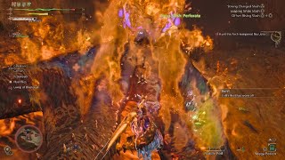 I've had enough of your....(Monster Hunter Wilds)