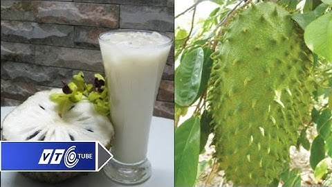 Sự thật về mãng cầu xiêm chữa ung thư | VTC