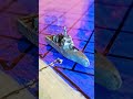 JS Maya #Modern warships