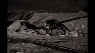"Zero Fear" Trailer - Grupo Marca Registrada
