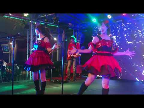 マイちゃんアミちゃん花組、(め)組のひと
