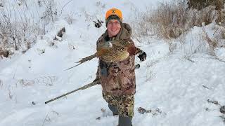 Fish Game Panhandle Region 2023 Pheasant Stocking Program