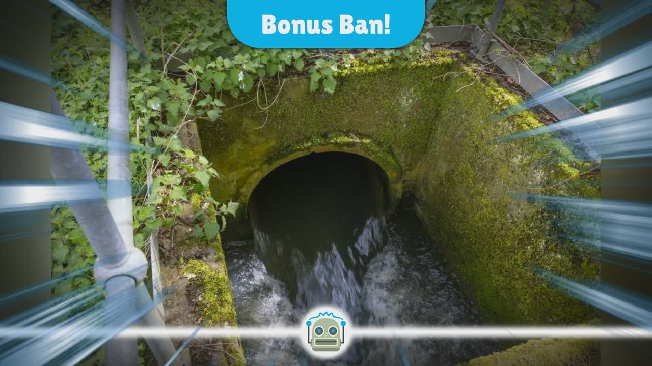 Immediate Bonus Ban for Water Executives Amidst Sewage Pollution Crisis