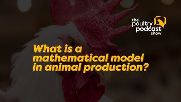#shorts What is a mathematical model in animal production?