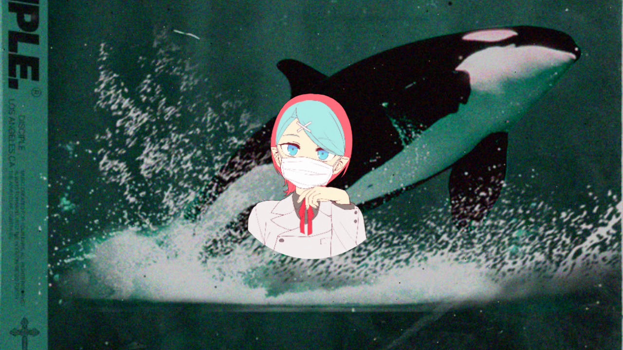 Whales - Weeble Wobble