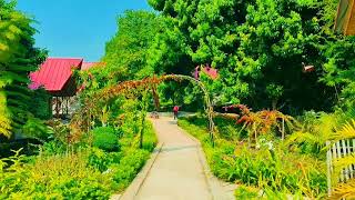 Bargee resort rangamati