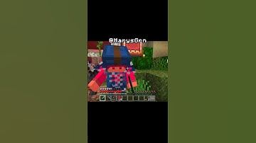 HIVE CTF - Return the Flag! #minecraft #phonk