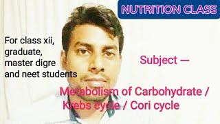 Metabolism of Carbohydrate / krebs cycle / Cori cycle / pentose phosphate pathway