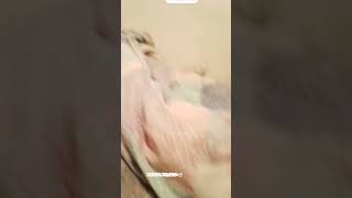 Evolution Of Spongebob Csupo Text 1999-2023