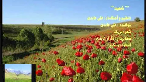 shahid - ali abedi -   -   -