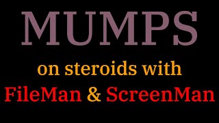 [046] MUMPS on steroids: FileMan and ScreenMan screenshot 3