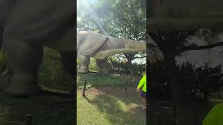 ตีนไดโนเสาร์🦖🦖