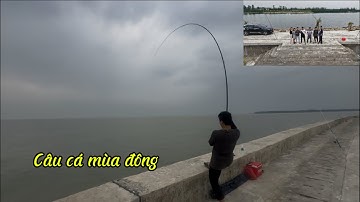 Điểm Câu Cá Biển Lý Tưởng