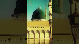 ummati ummati #shere @Star.Plus_audio #statplusaudio #islamiccontent