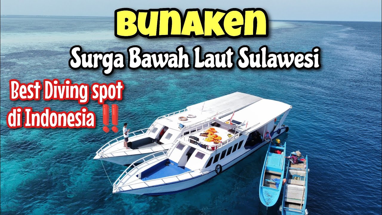 BUNAKEN : SURGA BAWAH LAUT SULAWESI‼️WAJIB MASUK BUCKET LIST 😍🤿