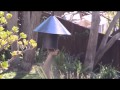 Squirrel vs Baffle Squirrel vs Baffle